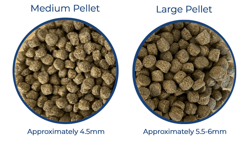 Ultra Balance Maintenance Koi Food- Large Pellet