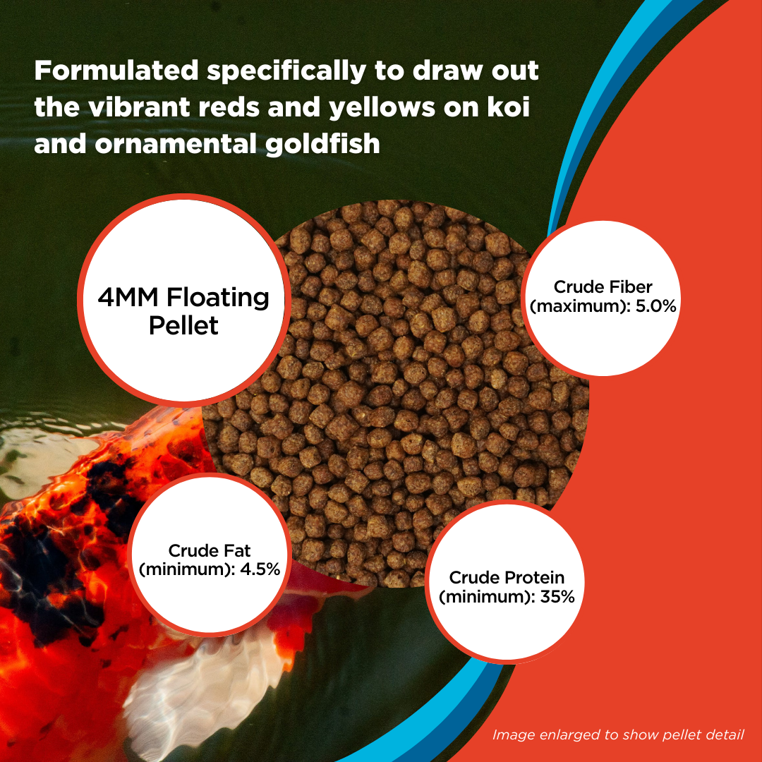 PondMAX Color Enhancing Food