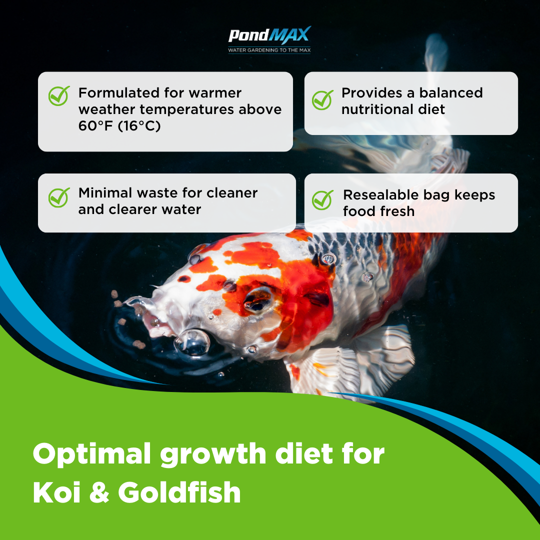 PondMAX Staple Growth Food