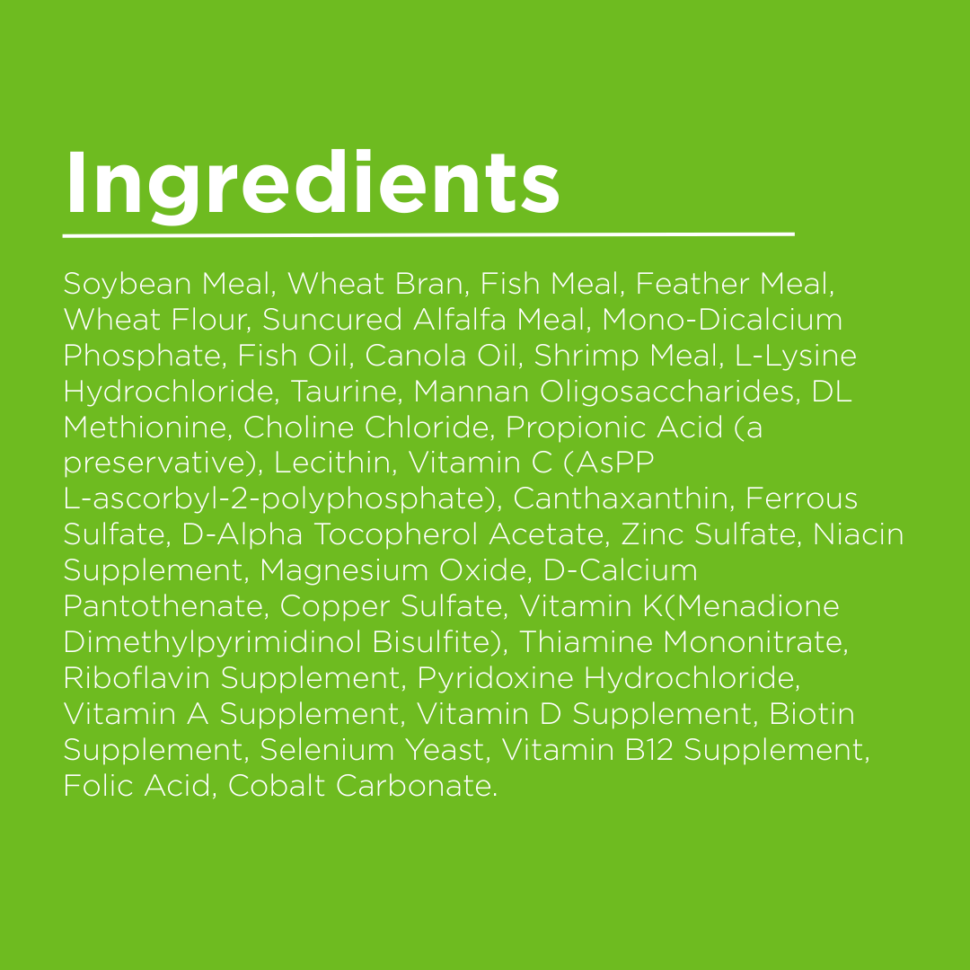 PondMAX Staple Growth Food