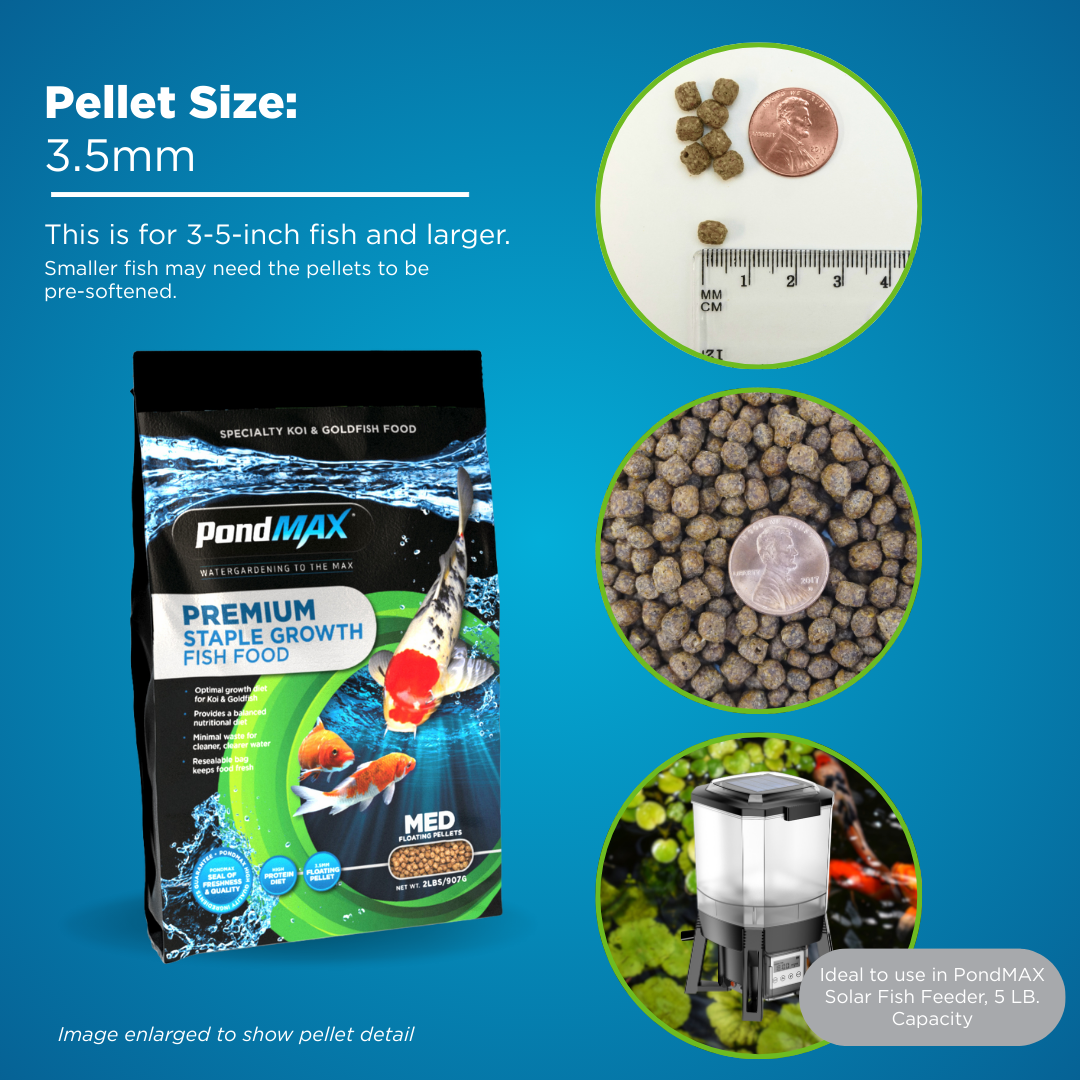 PondMAX Staple Growth Food