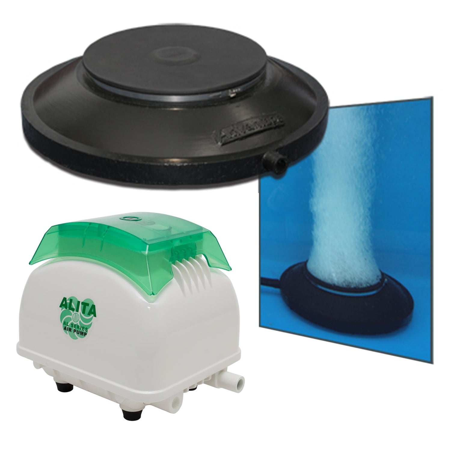 Pond Aeration Systems for Premium Koi Care