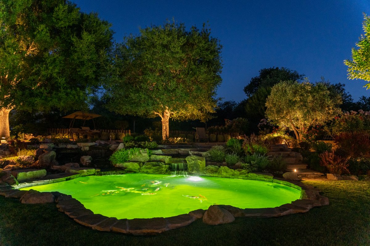 Beautiful pond at night, surrounded by trees and landscape lighting.