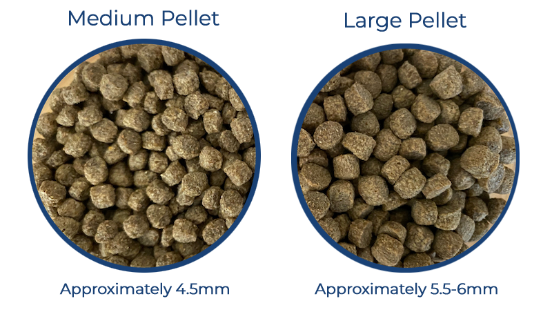 Ultra Balance Maintenance Koi Food- Large Pellet