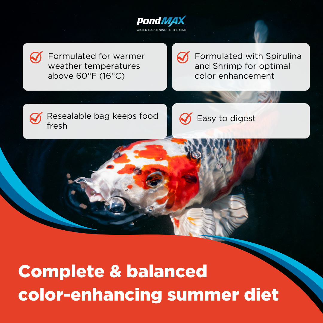 PondMAX Color Enhancing Food
