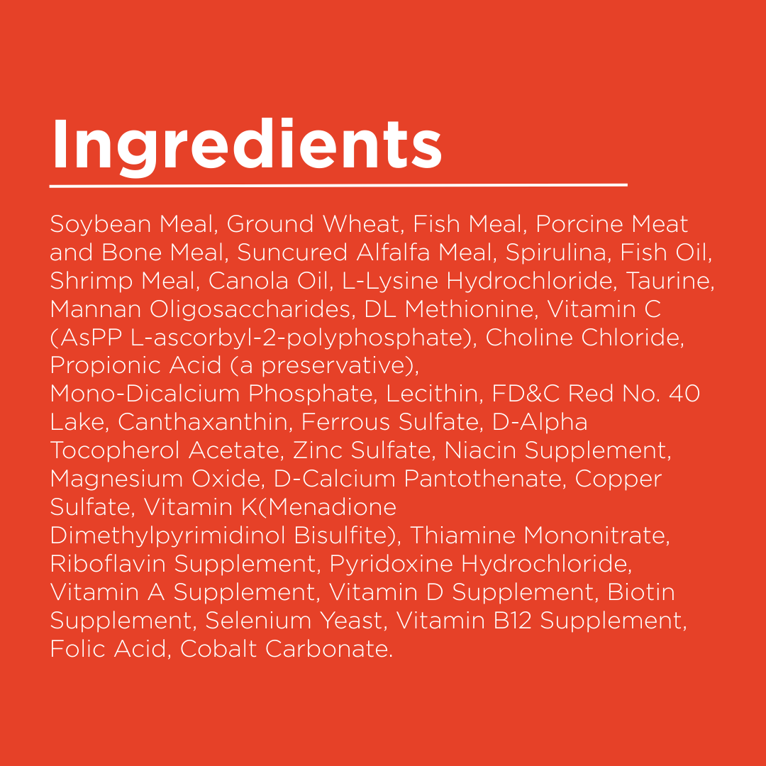 PondMAX Color Enhancing Food