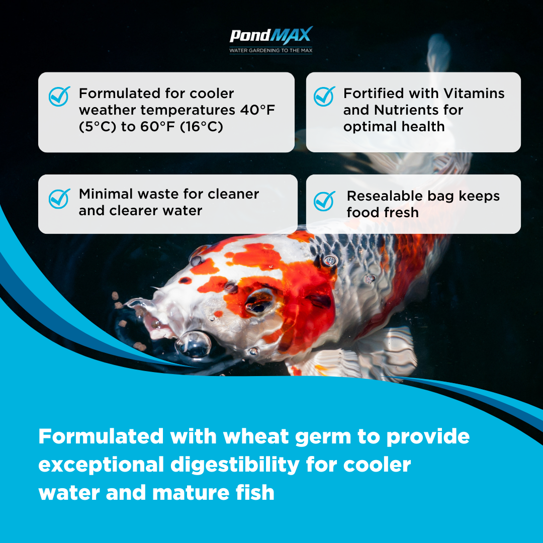 PondMAX Spring & Fall Wheat Germ Food
