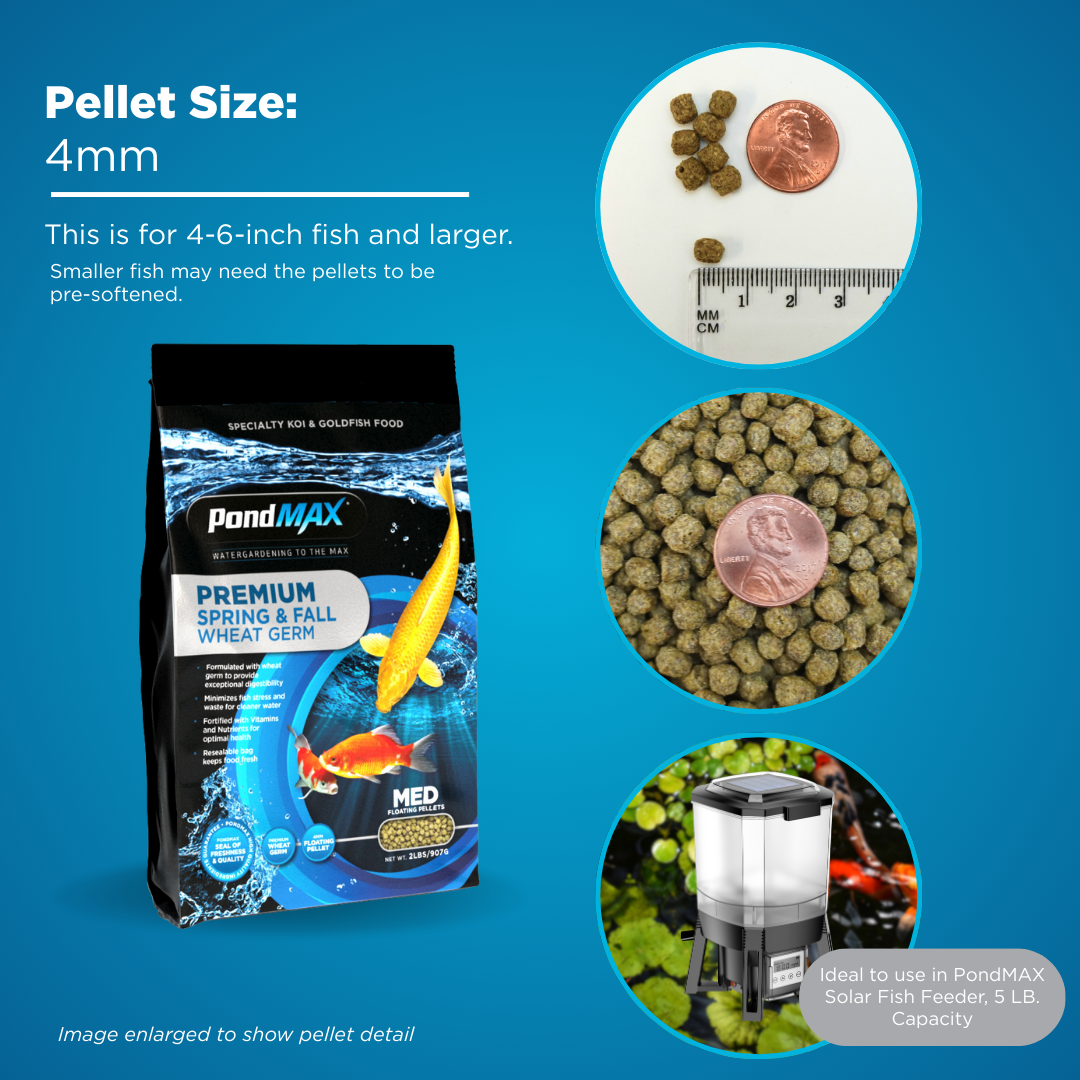 PondMAX Spring & Fall Wheat Germ Food