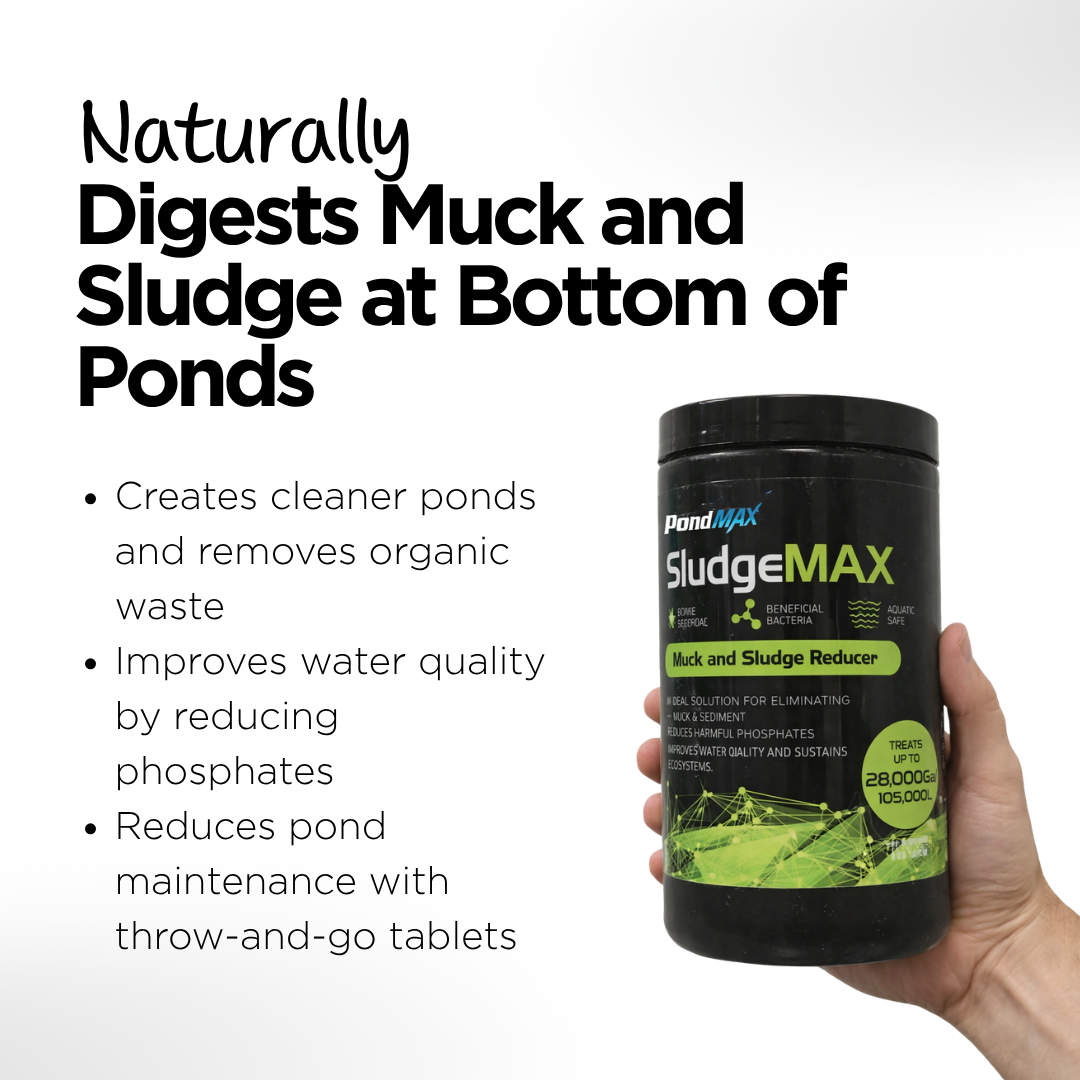 PondMAX SludgeMAX Pellets 1.5lb